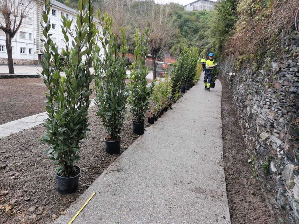 Diseño y creacion de zonas verdes en Lugo - Jardinor